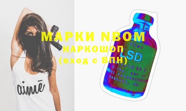 гидропоника Алзамай