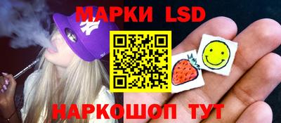 индика Рузаевка