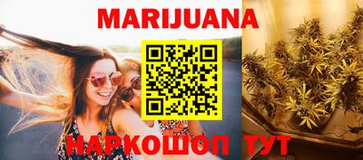 индика Рузаевка