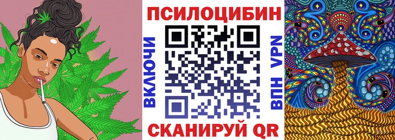 Псилоцибиновые грибы прущие грибы darknet как зайти Североморск хочу наркоту