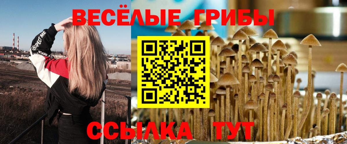 Галлюциногенные грибы мухоморы  Вход с VPN  Североморск 