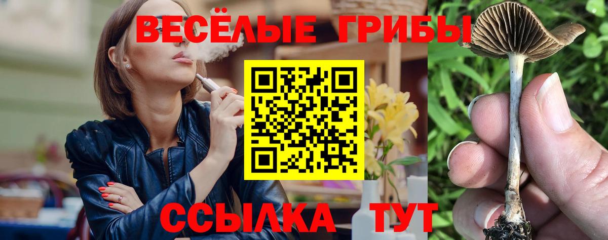 Галлюциногенные грибы прущие грибы Североморск