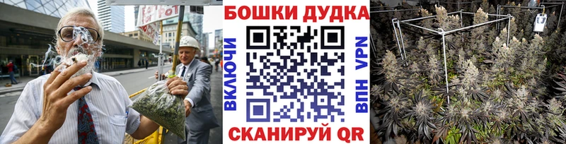 Шишки марихуана семена  мориарти состав  Североморск 